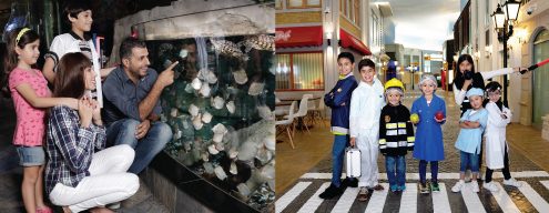 Ultimate Experience Dubai Aquarium + KidZania Kids Pass + KidZania Adult Pass